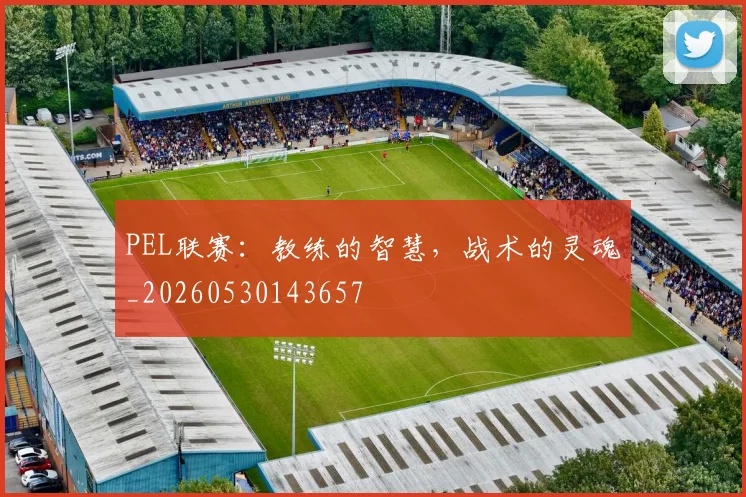 PEL联赛:教练的智慧,战术的灵魂_20260530143657