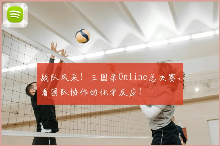 战队风采!三国杀Online总决赛,看团队协作的化学反应!